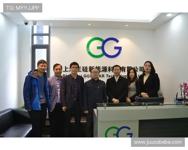 凯发电投网站登录遇到问题怎么办？全面排查方法与技术支持帮助用户顺利登录