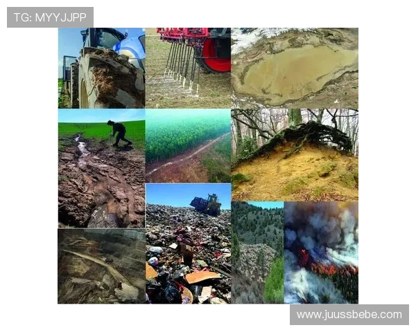 有谁玩凯发怎么样安全性与游戏多样性全面评测指南